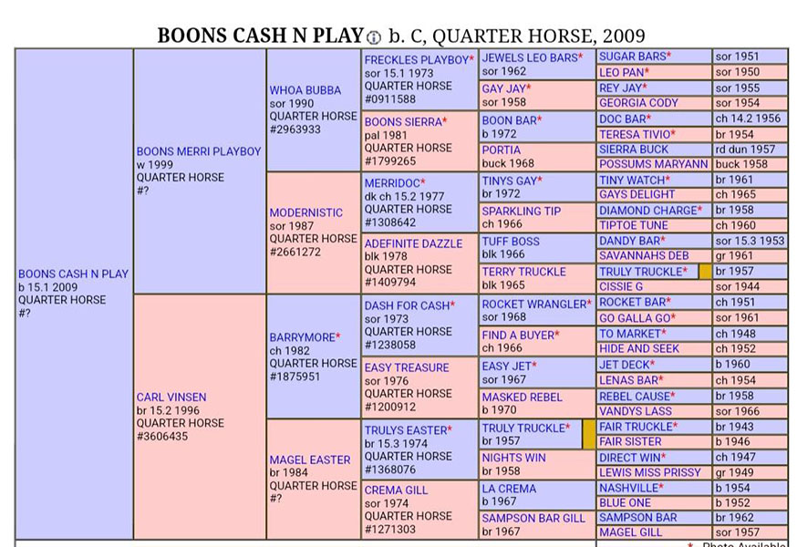 Boons Cash N Play